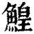 鰉(印刷字体·清·康熙字典)